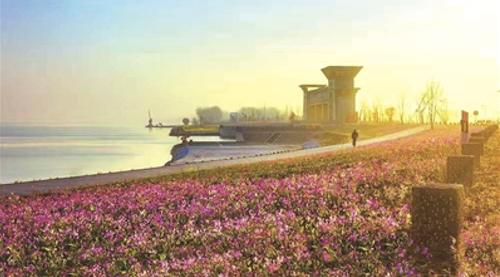 淮安乡村振兴案例,淮安蒋坝建设