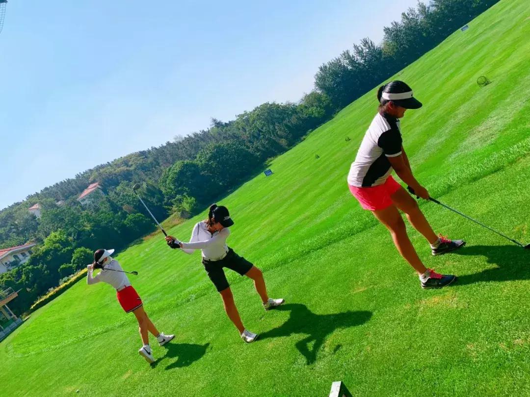 荆楚健儿战青运，八十三金铸辉煌