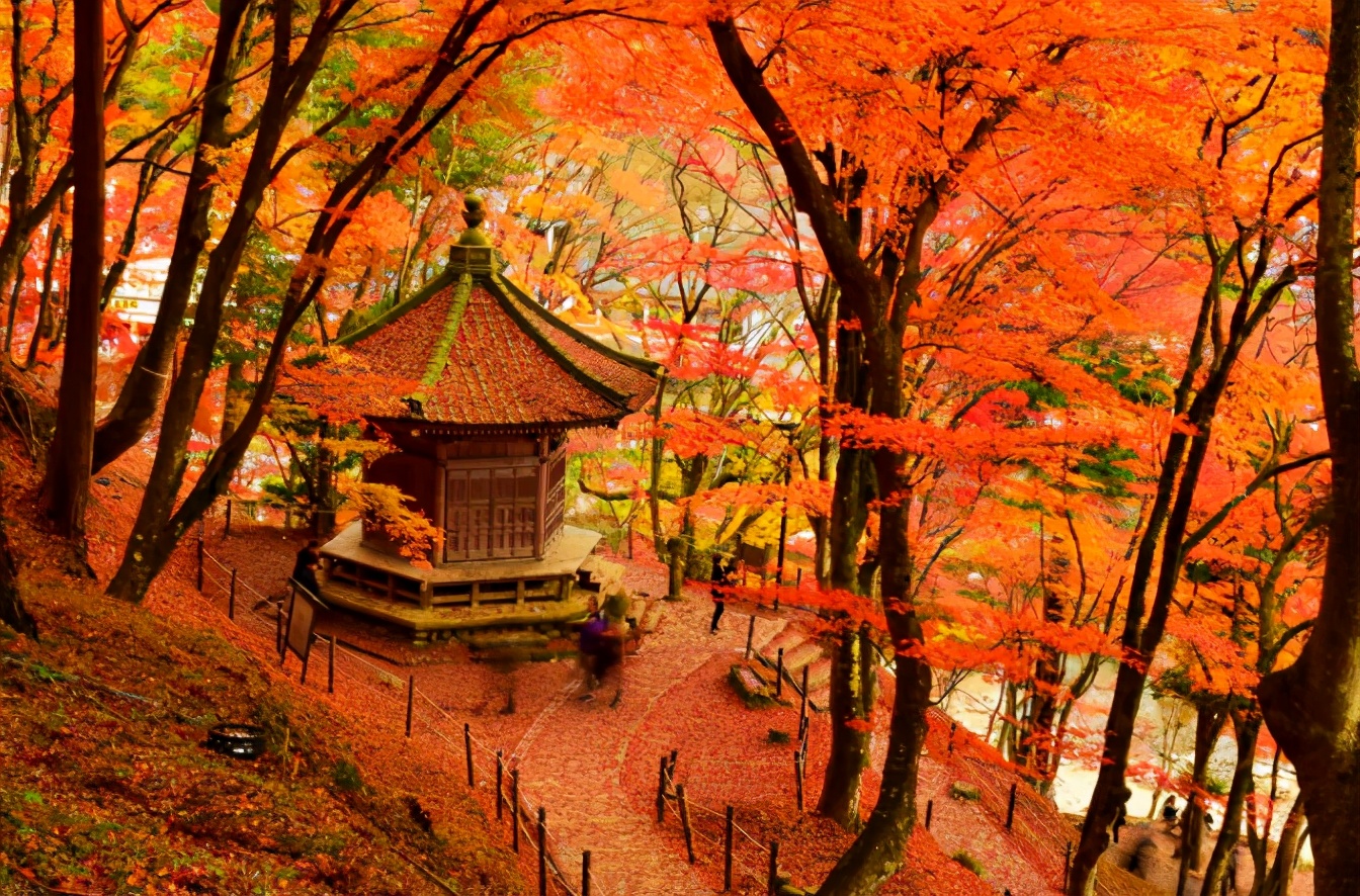 日本爱知县旅游攻略,玩转日本自由行