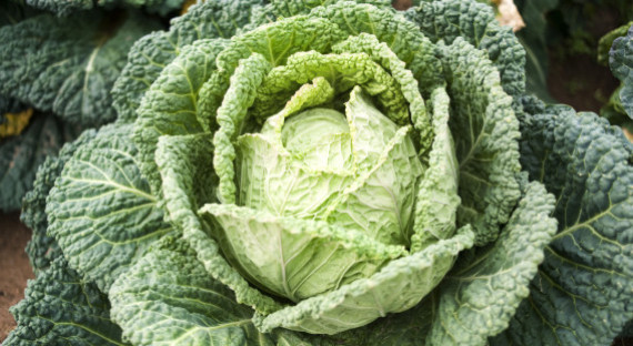 万圣夜是过早上还是过晚上,万圣夜为什么和万圣节差24天