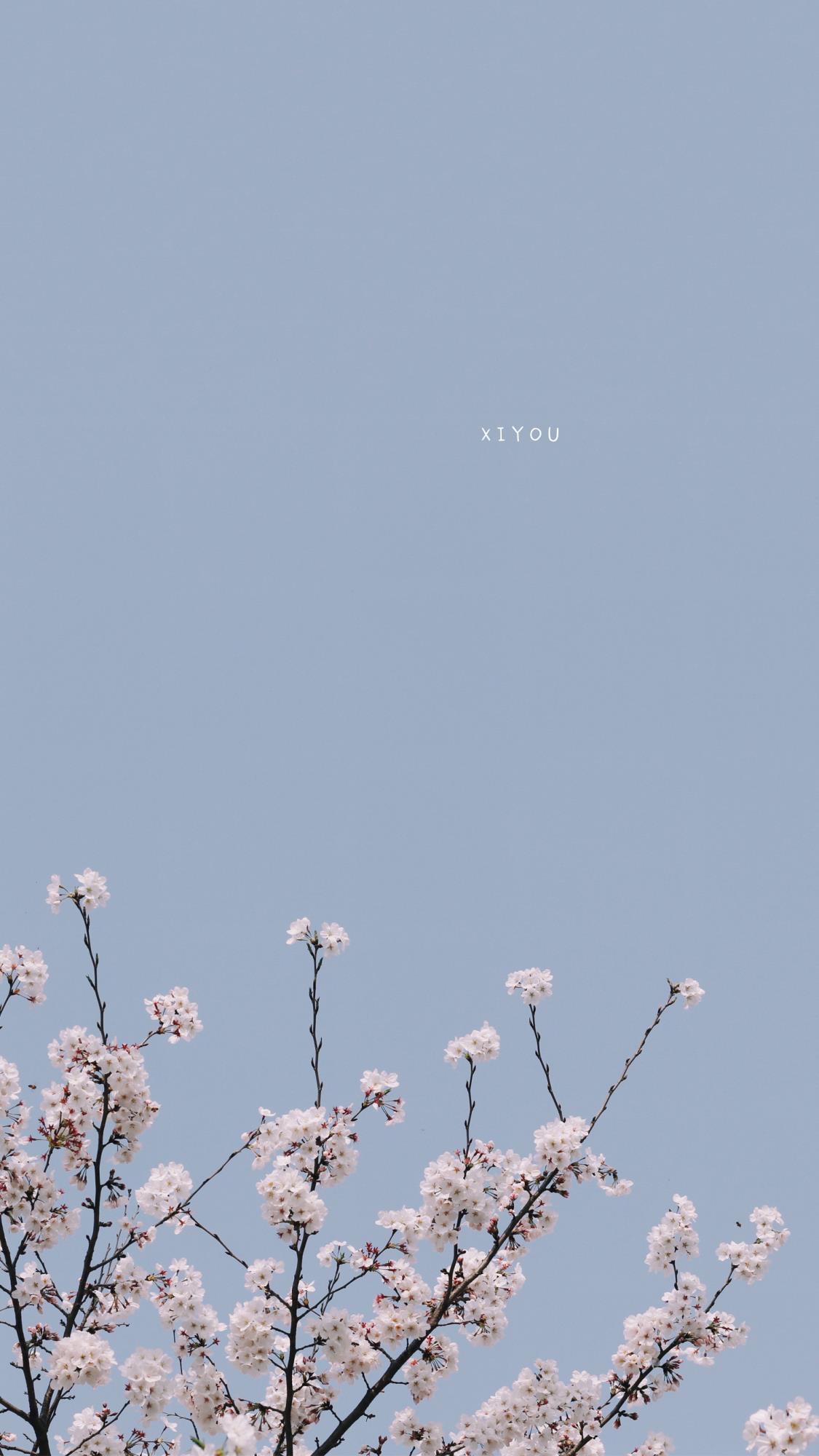 便是人间好时节壁纸,良辰美景好时光手机壁纸