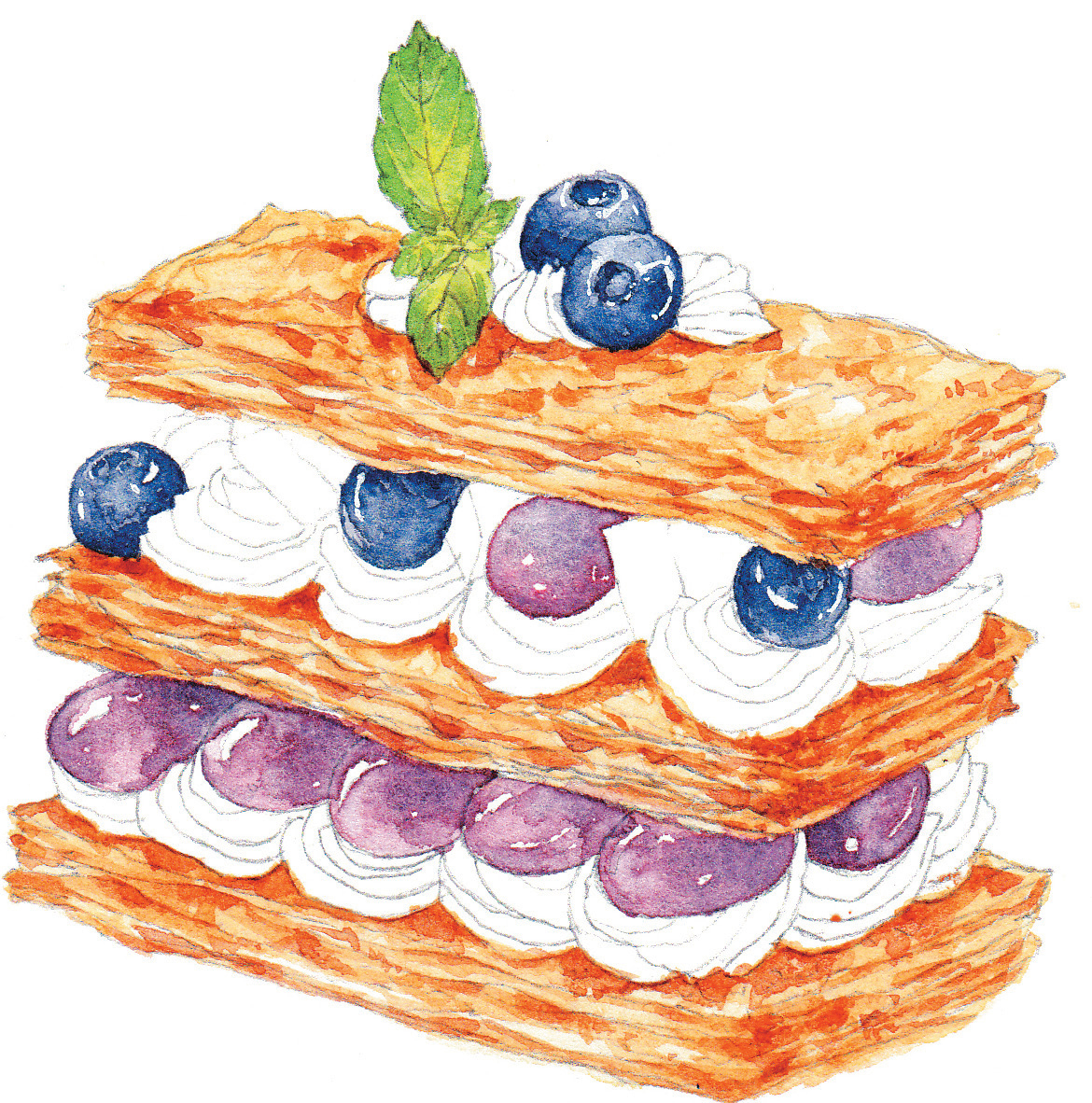 水彩葡萄蛋糕画法,水彩精致甜品教程