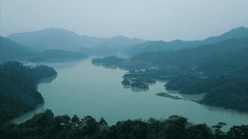 杭州大叔包下一座山谷造民宿,杭州高山樱花民宿