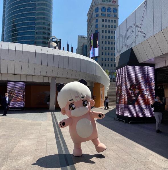 边伯贤生日直播和粉丝约定,边伯贤生日会应援花