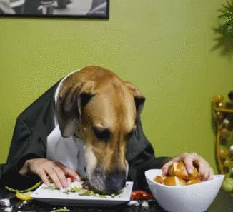 第一次人机大战电影,第一次人机战争