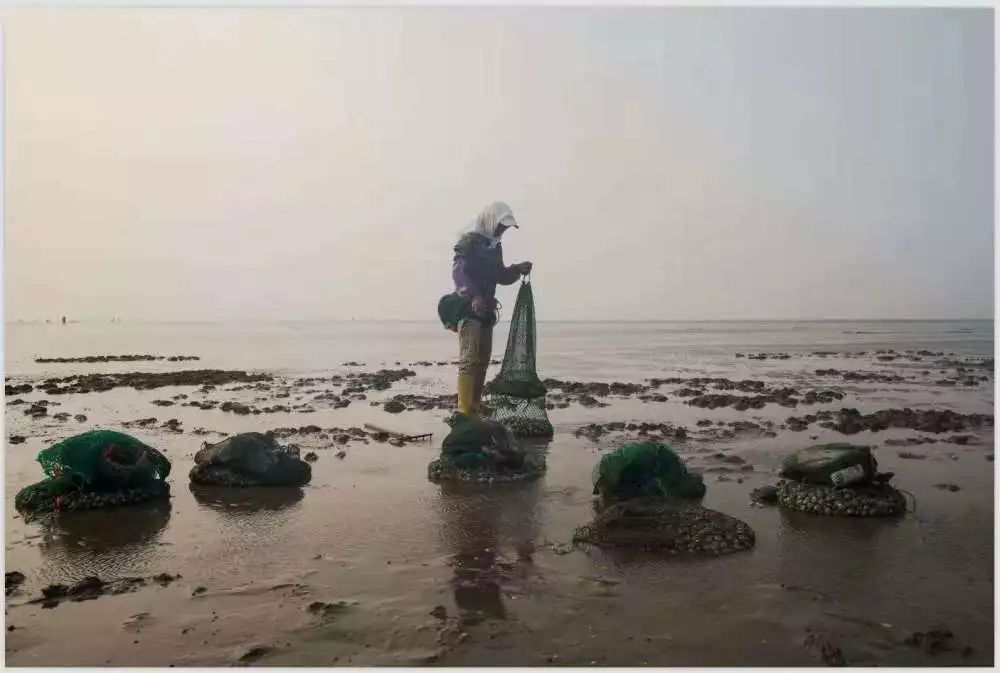 【读历史游盘锦】几许渔人飞短舟，尽载灯火归村路渤海金滩蛤蜊岗