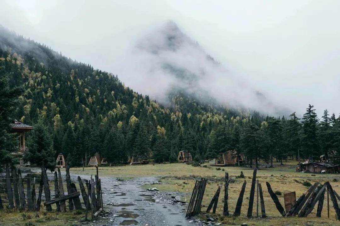 重庆暑假避暑好去处,暑假来了去哪里玩