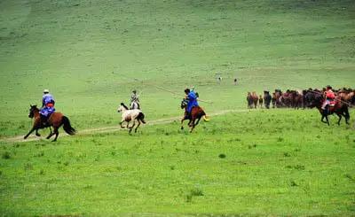 马奶节来历简介,马奶节是什么族的重要节日