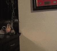 开心搞笑视频小哥哥,小哥哥搞笑视频gif