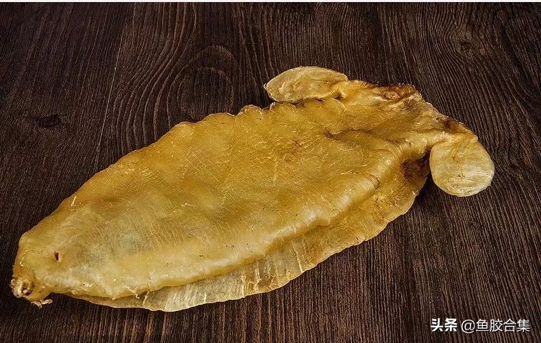 赤嘴鳘鱼胶,赤嘴鮸鱼鱼胶