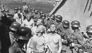 球王贝利最好纪录片,球王贝利史泰龙合拍的电影