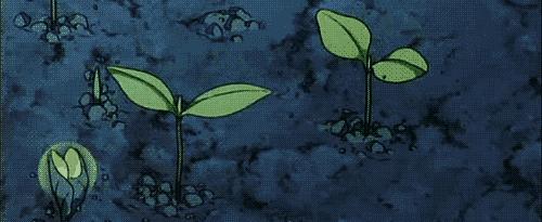 洗发水推荐控油蓬松樱花,claynal樱花洗发水推荐