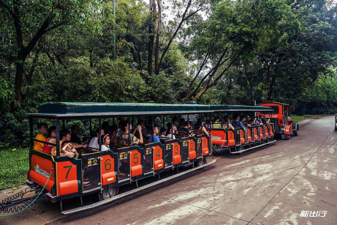 打卡长隆动物园记田妈和威马EX5520的周末