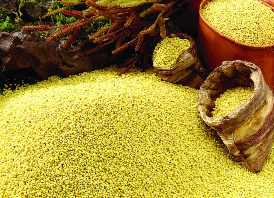 小米起虫如何处理,小米里长小黑虫怎么办