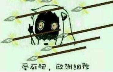 2020骞存毚闆瓟鍏芥墦鎶樺,鏆撮洩鎵撴姌瀛i瓟鍏芥寔缁埌鍑犲彿