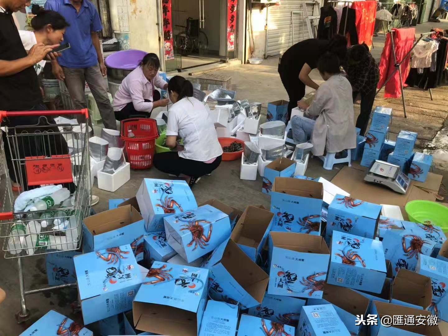 明光女山湖未来发展,安徽明光女山湖镇未来发展