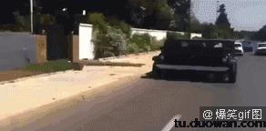 搞笑视频,搞笑动图gif猫咪