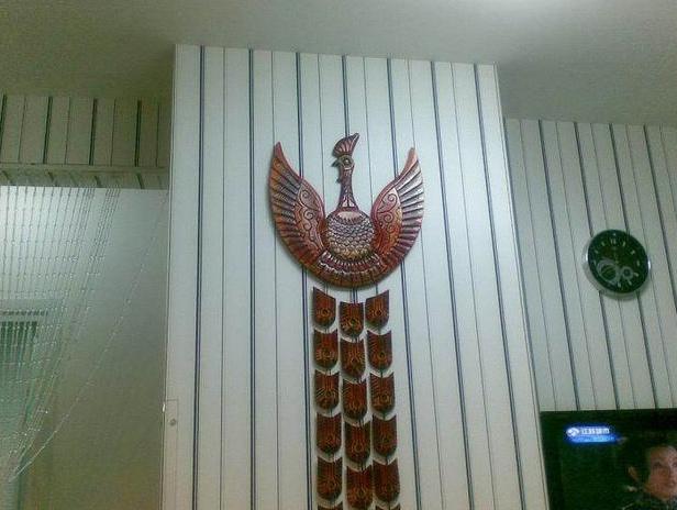 29岁大龄剩女装修35平米,剩女小窝装修效果图