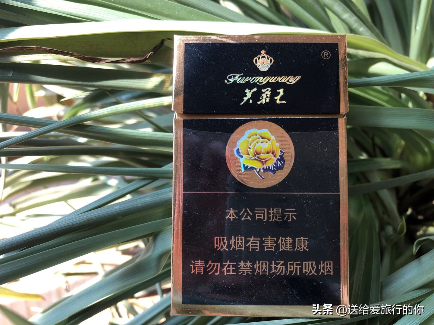 一支香烟飘在空中,一支烟去环游世界