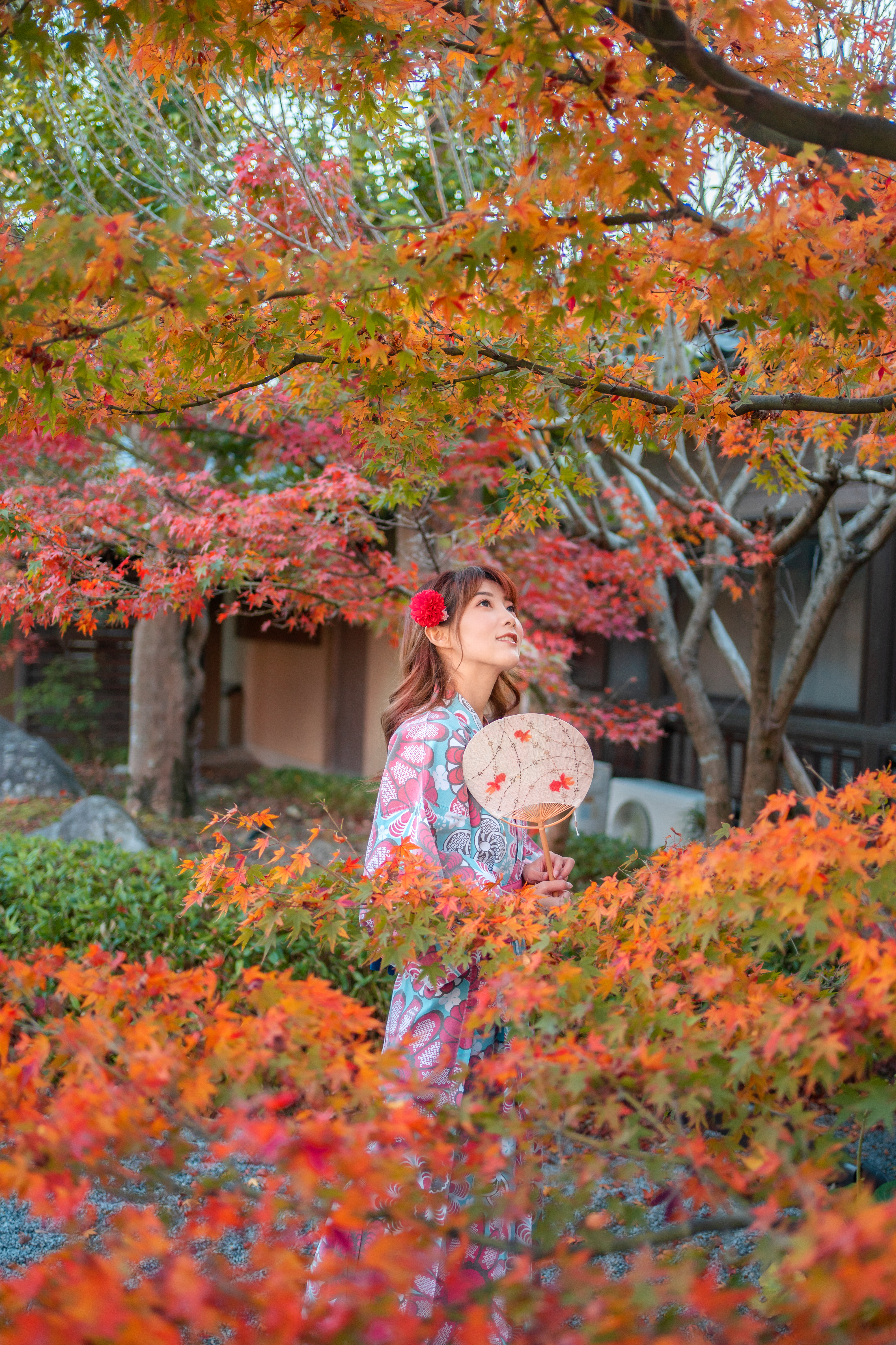 日本九州游,日本九州小众游