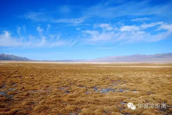 *疆新**伊吾—一个幸福的地方