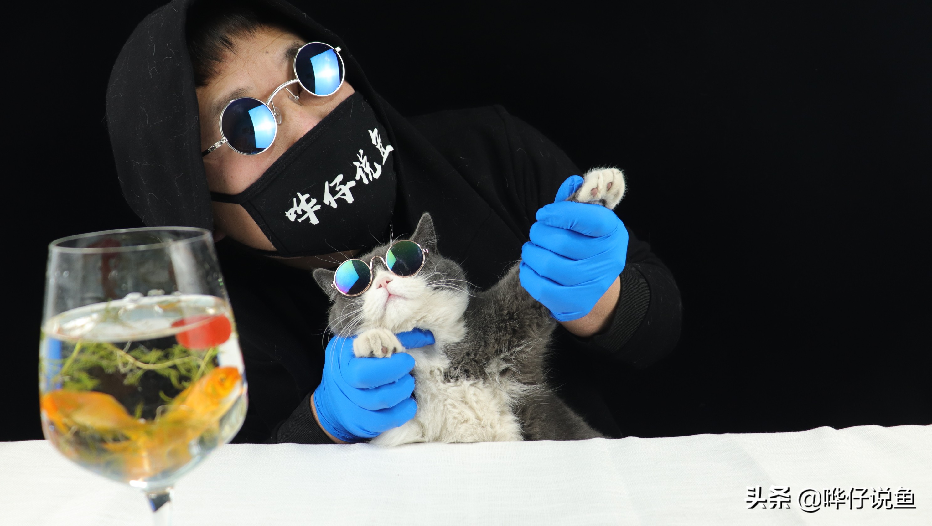 养观赏鱼的方法和技巧大全,怎么才能养好观赏鱼