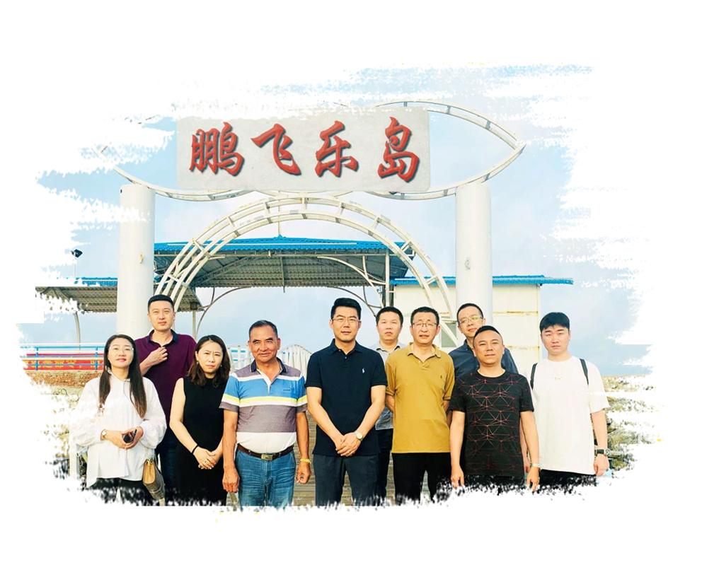 鹏飞乐岛,飞乐岛怎么做逍遥岛主