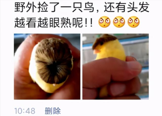 把车标全部抠掉违法吗,把车标抠下来清灰