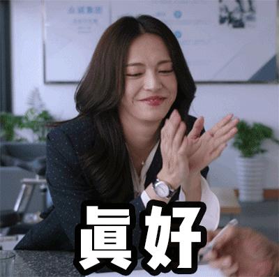 苏家女人买东西,苏家女士包包