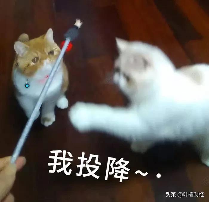 叶檀在全国的地位,叶檀前世今生