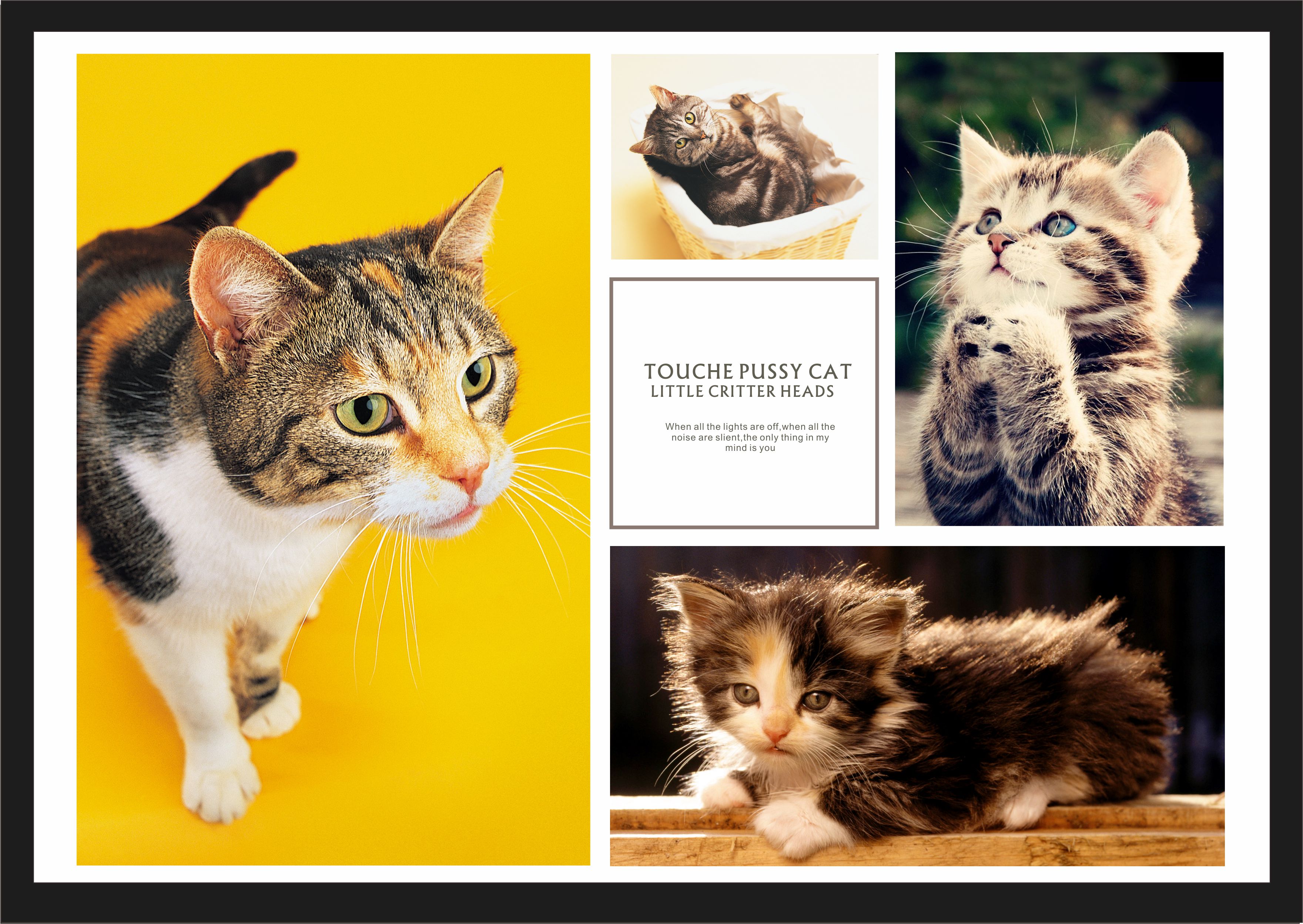 coreldraw怎么导入cdr文件,coreldraw在线打开cdr文件