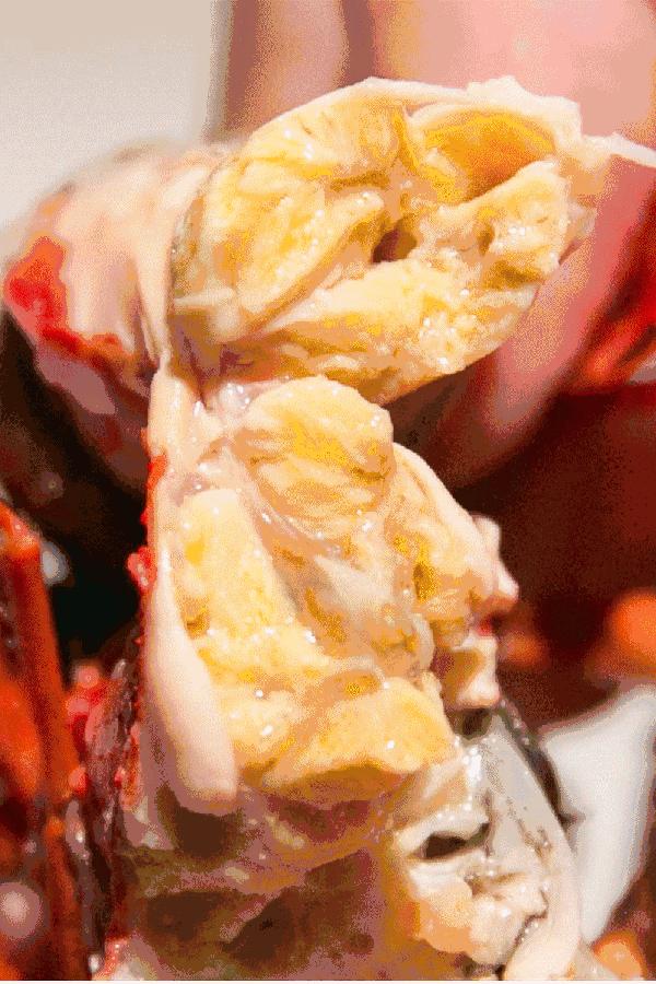 盘点十大新疆的特产,疆藏特产