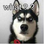 斜杠小伙兼职套路,兼职经济斜杠青年