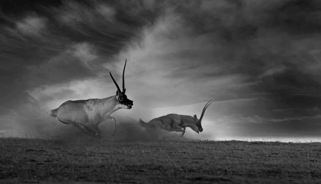 香港第14届全国摄影艺术展,第29届全国摄影艺术展览获奖名单