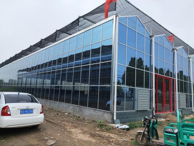 燃煤锅炉最佳代替方法,温室锅炉供暖设备