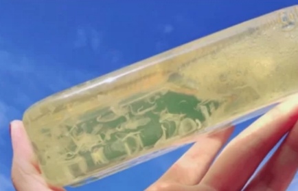 出汗头发油适合什么洗发水,洗发液香水型控油