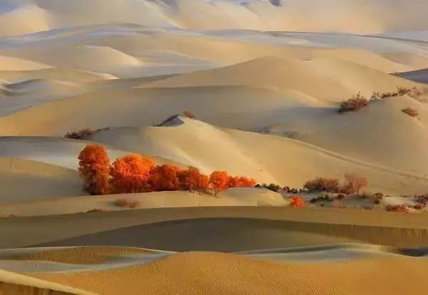 中国最美县城云南有几个,中国最美的100个地方云南