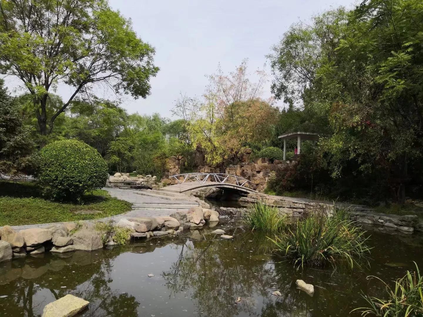 太原去哪里看秋景,太原的秋景有哪些