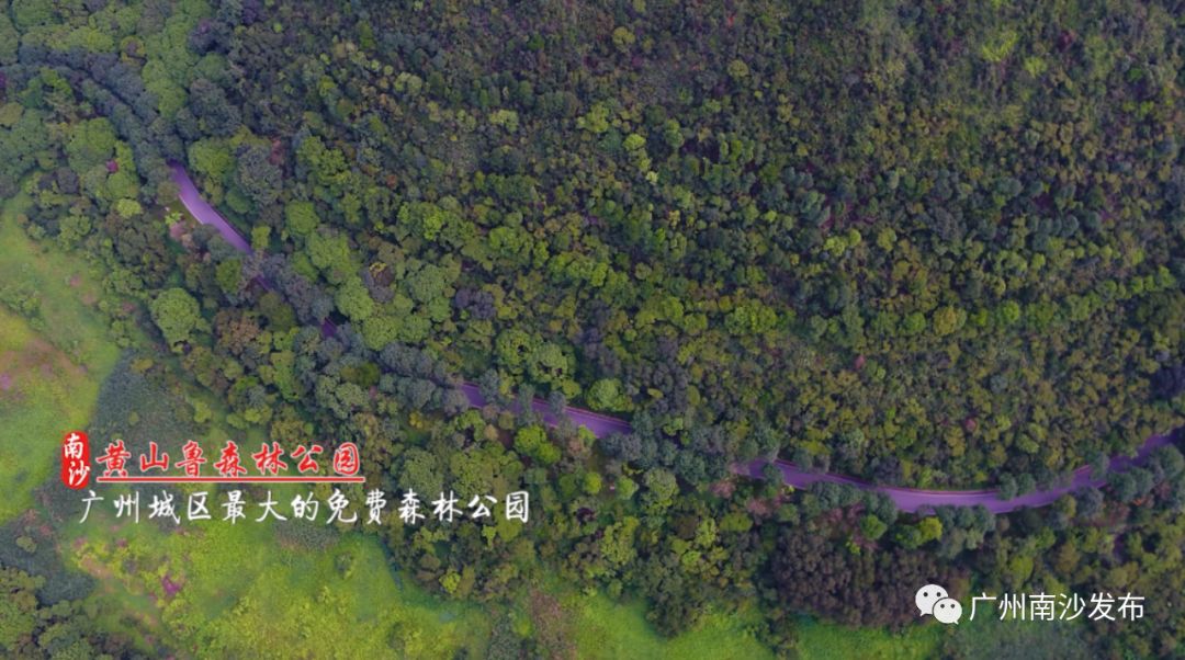 南沙真的美,南沙以后到底会怎么样