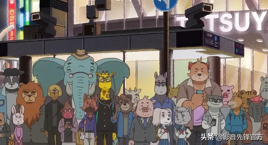 黑马新番推荐，这才是成年人该看的动漫