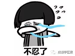 天府新区私立小学招生简章,天府新区第六小学对应初中