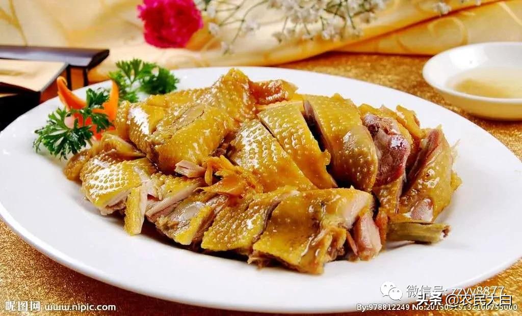 不准吃野生动物,禁止吃野味