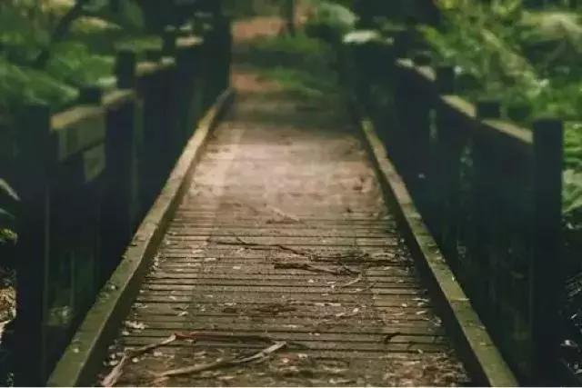 有些男人的爱,不过是叶公好龙罢了