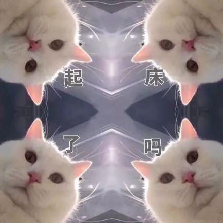 赵丽颖为什么越来越显老,31岁赵丽颖现在转型还来得及吗