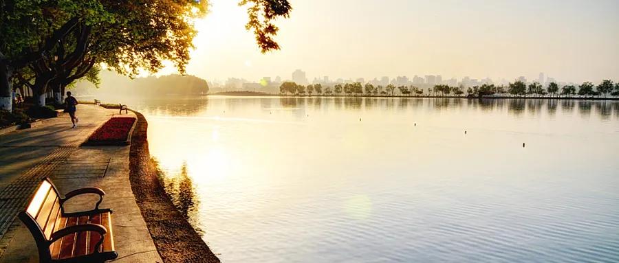 世卫组织停止使用什么药物,世卫停止羟氯喹试验视频