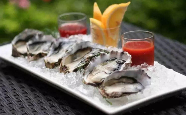 史上最全海鲜视频,史上最全海鲜贝类大全