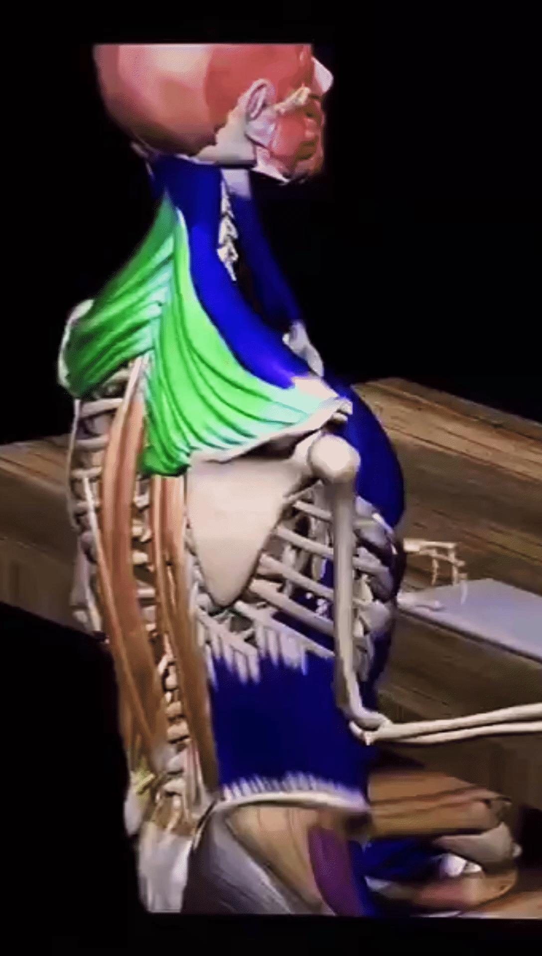 什么原因引起肩周炎手臂活动受限,引起肩周炎疼痛是什么原因