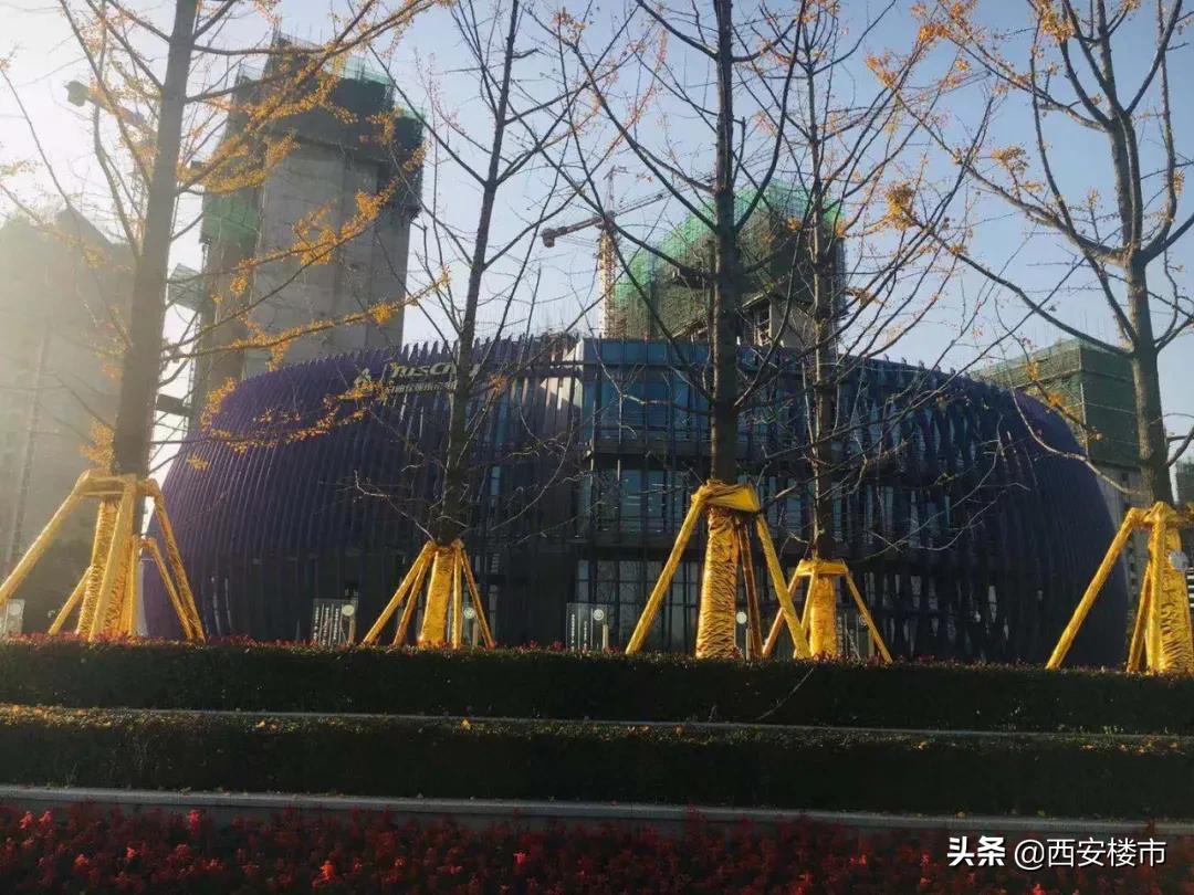 咸阳启迪与秦汉科技城,秦汉启迪佳莲未来科技城怎么样