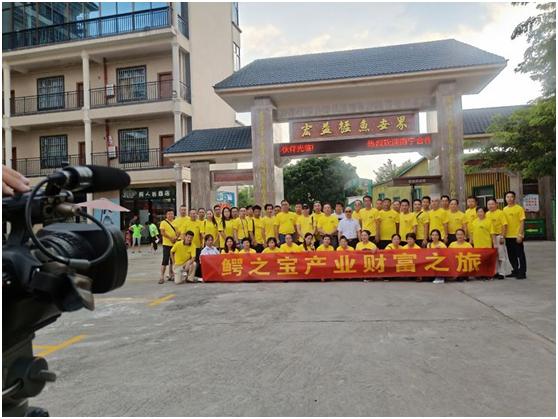 鳄之宝,广西卫视12点探秘节目