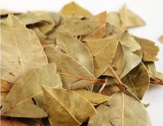 狗狗身上跳蚤反复出现怎么办,狗狗身上有跳蚤有什么处理方法